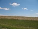 IMG_2542.JPG