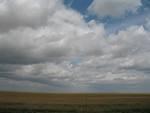 IMG_2554.JPG