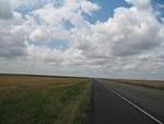 IMG_2555.JPG