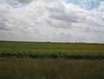 IMG_2557.JPG