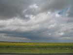IMG_2559.JPG