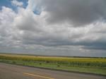 IMG_2560.JPG
