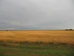 IMG_2585.JPG