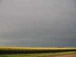 IMG_2587.JPG