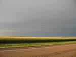 IMG_2588.JPG