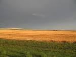 IMG_2589.JPG