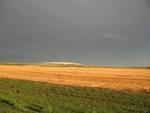 IMG_2590.JPG