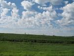IMG_2619.JPG