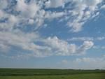 IMG_2620.JPG