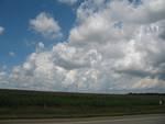 IMG_2625.JPG