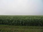 IMG_2655.JPG