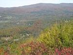 img_0134.jpg