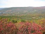 img_0135.jpg