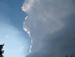 img_1695.jpg