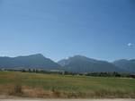 img_1699.jpg