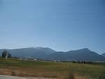 img_1700.jpg