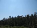 img_1712.jpg