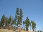 img_1716.jpg