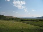 img_1725.jpg
