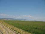 img_1732.jpg