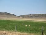img_1775.jpg