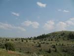 img_1798.jpg
