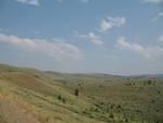 img_1800.jpg