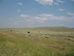 img_1807.jpg