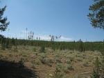 img_1842.jpg