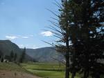 img_1848.jpg