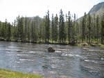 img_1853.jpg
