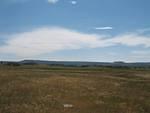 img_1864.jpg