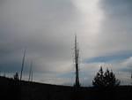img_1954.jpg