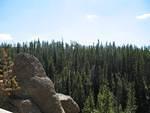 img_1990.jpg