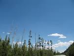 img_1996.jpg