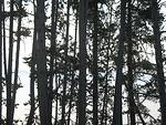 img_2072.jpg