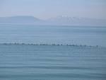 img_2091.jpg