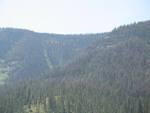 img_2120.jpg