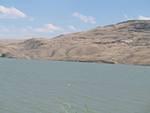 img_2155.jpg