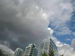 img_2695.jpg