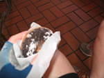 img_3354