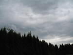 img_3607