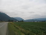 img_3614