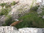 img_4664