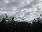 IMG_0150