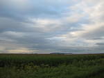 IMG_0178