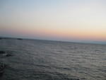 IMG_0317