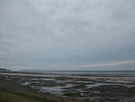 IMG_0426