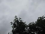 IMG_0628