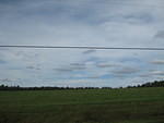 IMG_0715